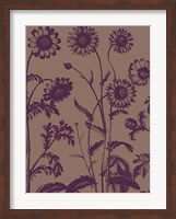 Framed Chrysanthemum 14