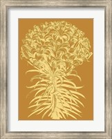 Framed Lilies 20