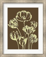 Framed Tulip 4