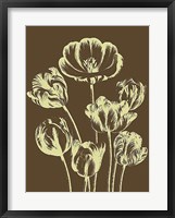 Framed Tulip 4