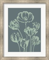 Framed Tulip 7