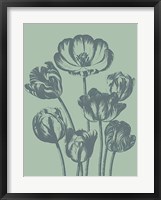 Framed Tulip 8