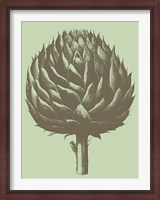 Framed Artichoke 11