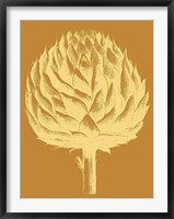 Framed Artichoke 20