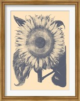 Framed Sunflower 1