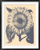 Framed Sunflower 1