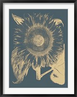 Framed Sunflower 2