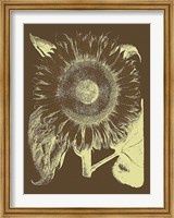 Framed Sunflower 3