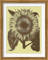 Framed Sunflower 4