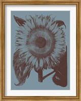 Framed Sunflower 5