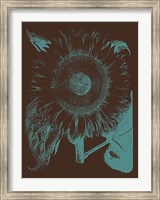 Framed Sunflower 6