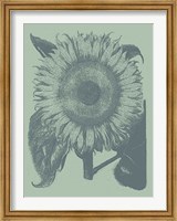 Framed Sunflower 8