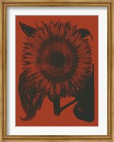 Framed Sunflower 9