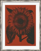 Framed Sunflower 9