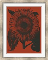 Framed Sunflower 9