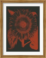 Framed Sunflower 10