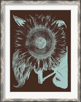 Framed Sunflower 17