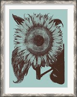 Framed Sunflower 18