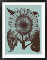 Framed Sunflower 18