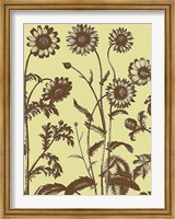 Framed Chrysanthemum 4