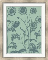 Framed Chrysanthemum 8