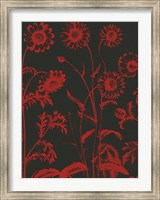 Framed Chrysanthemum 10