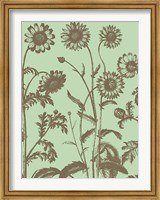 Framed Chrysanthemum 11