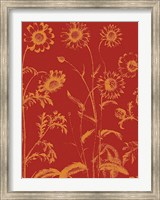 Framed Chrysanthemum 16