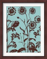 Framed Chrysanthemum 18