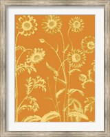 Framed Chrysanthemum 20