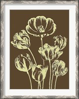 Framed Tulip 4