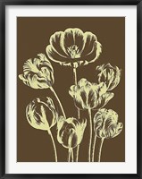 Framed Tulip 4