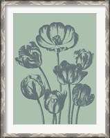 Framed Tulip 8