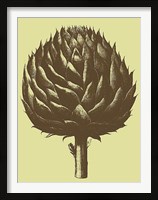 Framed Artichoke 3