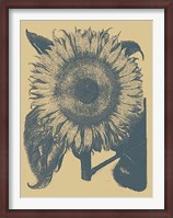 Framed Sunflower 1