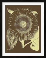 Framed Sunflower 3