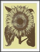Framed Sunflower 4
