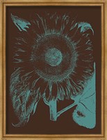 Framed Sunflower 6