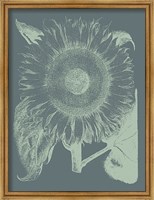Framed Sunflower 7