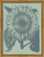 Framed Sunflower 8