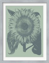 Framed Sunflower 8