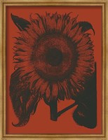 Framed Sunflower 9