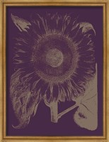 Framed Sunflower 13