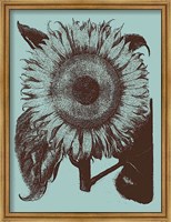 Framed Sunflower 18