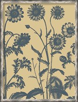 Framed Chrysanthemum 1