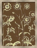 Framed Chrysanthemum 3