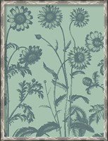Framed Chrysanthemum 8