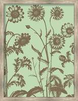 Framed Chrysanthemum 11