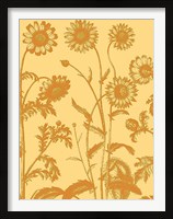 Framed Chrysanthemum 19