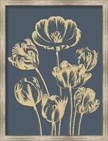 Framed Tulip 2